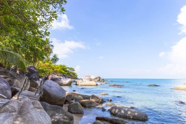 Hindistan cevizi beach oğlu adada, Kien Giang, Vietnam, Hindistan cevizi ağacı. Phu Quoc Adası