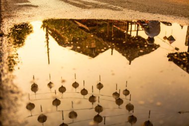 Hoi An, Quang Nam, Vietnam, 26 Nisan 2018: Hoi bir antik kenti Street güzel sabah