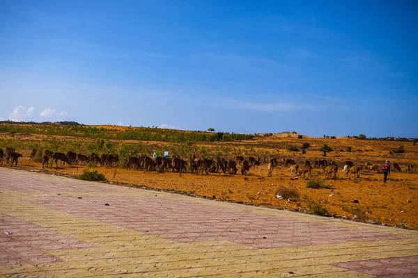 Phan Thiet Binh Thuan Vietnam Mayo 2018 Dunas Arena Roja — Foto de Stock