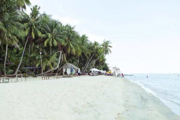 Coconut tree at coconut beach on Son island, Kien Giang, Vietnam. Near Phu Quoc island
