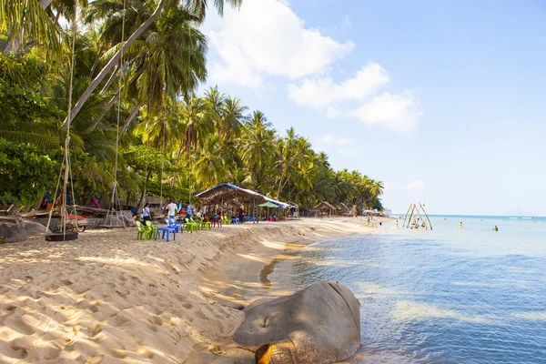 Kokosnussbaum Kokosnussstrand Auf Der Insel Son Kien Giang Vietnam Der — Stockfoto