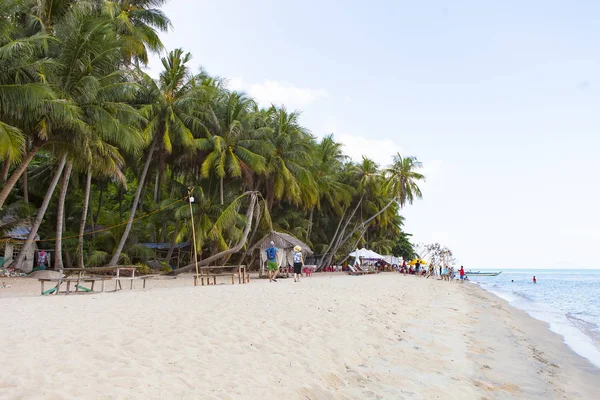 Albero Cocco Sulla Spiaggia Cocco Son Island Kien Giang Vietnam — Foto Stock