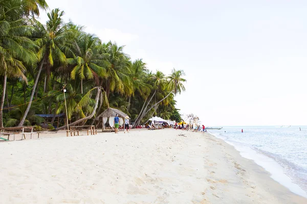 Kokosnussbaum Kokosnussstrand Auf Der Insel Son Kien Giang Vietnam Der — Stockfoto