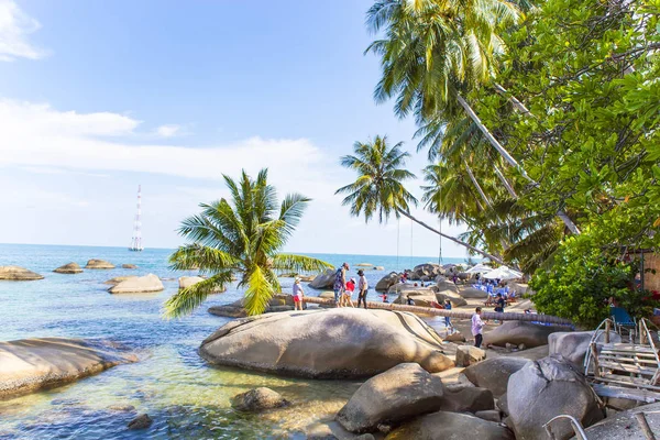 Albero Cocco Sulla Spiaggia Cocco Son Island Kien Giang Vietnam — Foto Stock