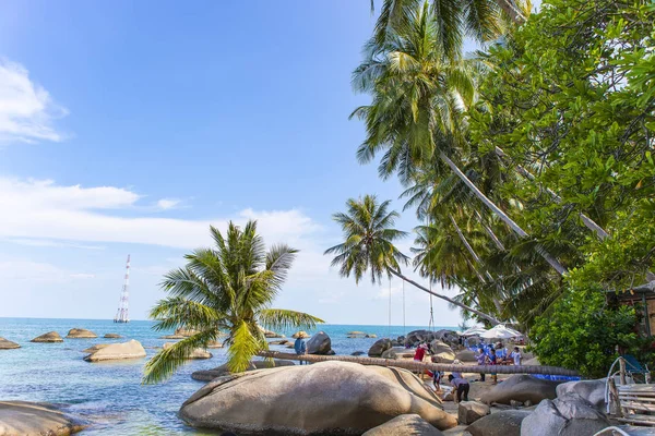 Kokosowe Drzewo Kokosowe Plaży Wyspie Son Prowincja Kiên Giang Wietnam — Zdjęcie stockowe