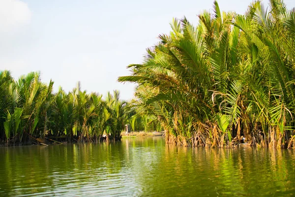 Toeristen Bezoek Water Kokosnoot Bos Hoi Een — Stockfoto