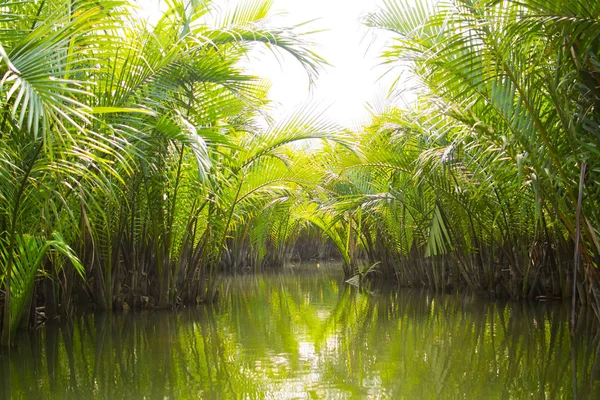 Turistas Visitam Floresta Coco Água Hoi — Fotografia de Stock