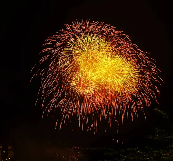 Tűzijáték Ünnepli Elkövetkező Évet 2019 — Stock Fotó