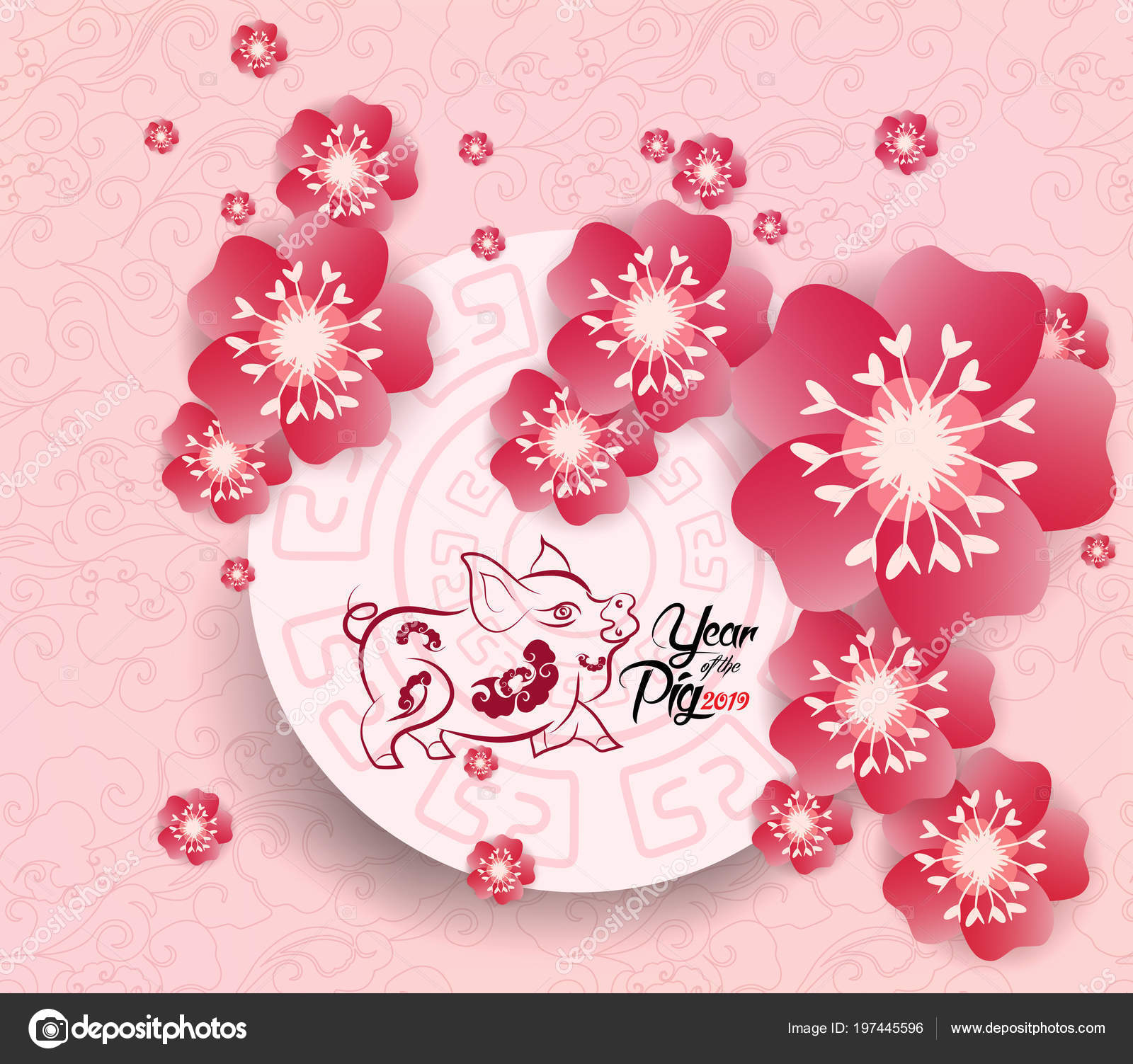 Chinese New Year 2019 Background Blooming Sakura Branches Stock