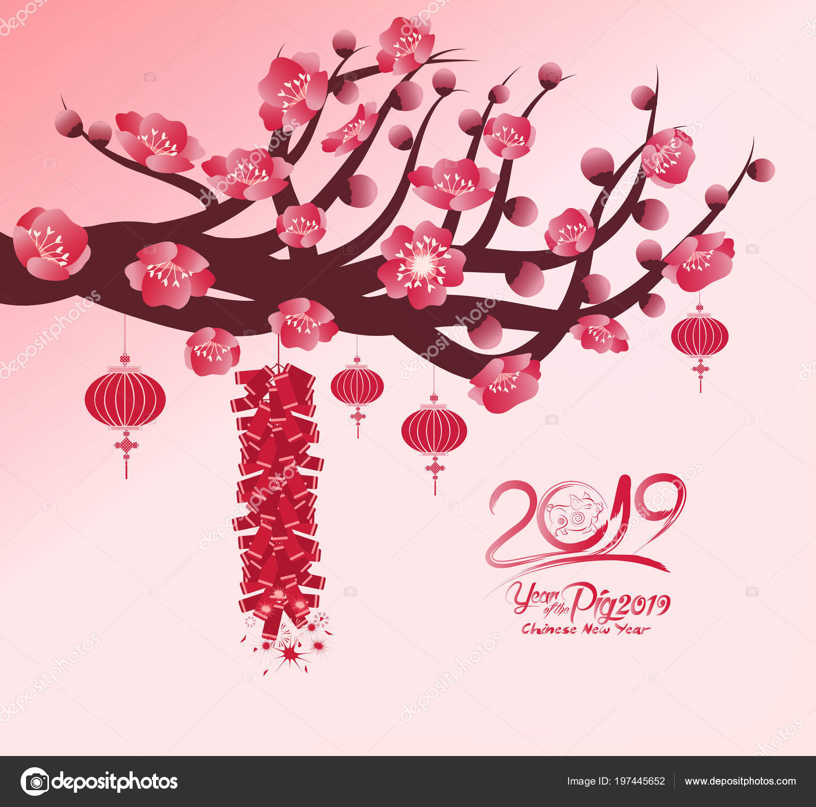 Chinese New Year 2019 Background Blooming Sakura Branches Stock