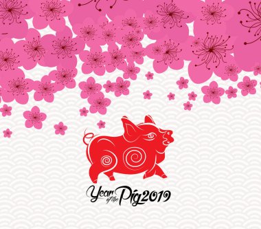 Çin yeni yılı 2019 - erik çiçeği arka plan. Domuz yılı 