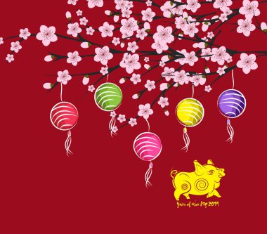 Geleneksel Çin yeni yılı. Blossom ve fener arka plan. Domuz yılı