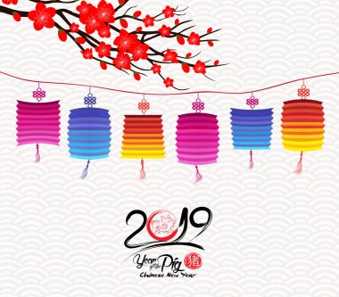 Çiçeği Çin yeni yılı fener ve arka plan. Yıl (hiyeroglif domuz domuz) 