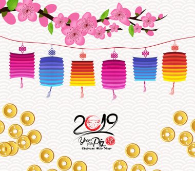 Çiçeği Çin yeni yılı fener ve arka plan. Yıl (hiyeroglif domuz domuz) 