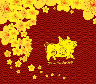 Çin yeni yılı 2019 çiçeği. Domuz yılı