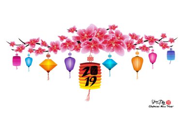 Sakura çiçek arka plan. Kiraz çiçeği ve fener beyaz arka plan izole. Çin yeni yılı 