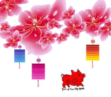 Sakura çiçek arka plan. Kiraz çiçeği ve fener beyaz arka plan izole. Çin yeni yılı