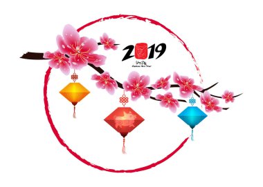 Sakura çiçek arka plan. İzole kiraz çiçeği beyaz arka plan. Çin yeni yılı 