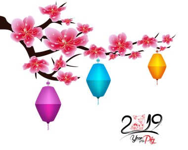 Sakura çiçek arka plan. Kiraz çiçeği izole fener beyaz arka plan. Çin yeni yılı 