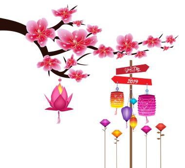 Sakura çiçek arka plan. Kiraz çiçeği ve fener beyaz arka plan izole. Çin yeni yılı