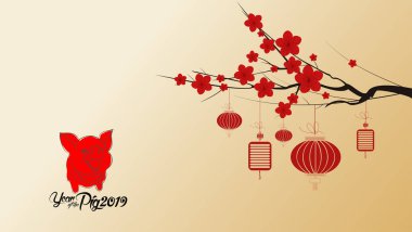 Çin yeni yıl 2019 çiçeği ile duvar kağıtları. Yıl (hiyeroglif domuz domuz)