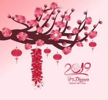 Çin yeni yılı 2019 arka plan Sakura Şubesi çiçeklenme