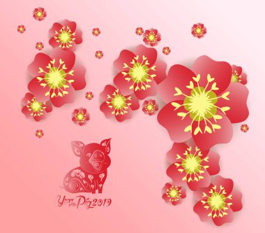 Çin yeni yılı 2019 arka plan çiçeği sakura dalları