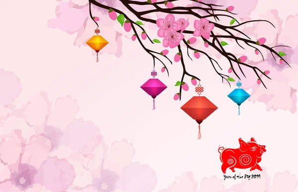Çin yeni yılı 2019 çiçeği. Domuz yılı
