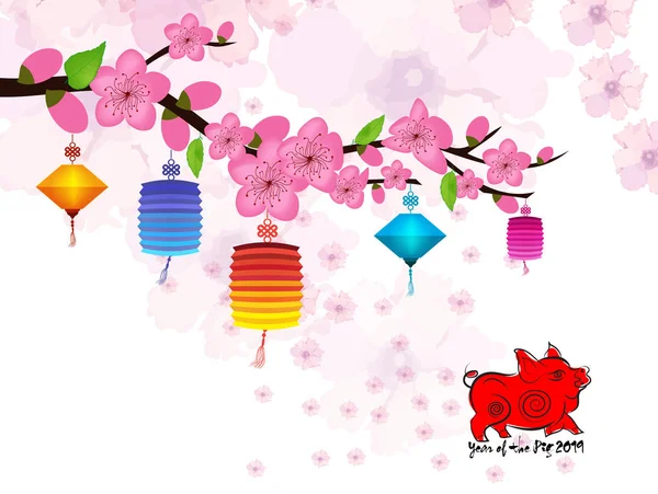 Chinese New Year Card Plum Blossom Lantern 2019 — Stock Vector