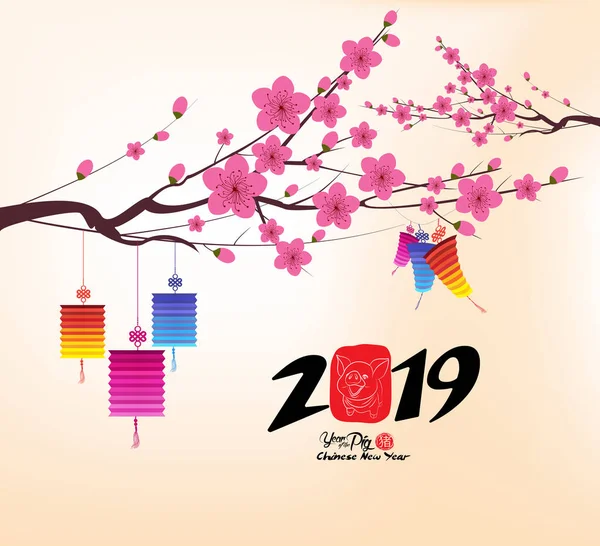 Chinese New Year 2019 Background Lantern Plum Blossom — Stock Vector