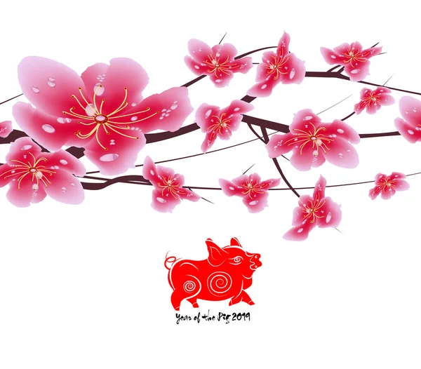 Сакура Квітами Фону Цвітіння Вишні Ізольовані Білим Тлом Китайський Новий — стоковий вектор