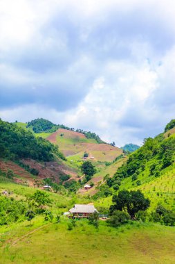Moc Chau highland Caddesinde muhteşem manzara
