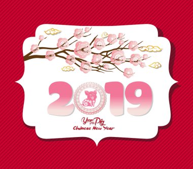 Çin yeni yılı 2019 arka plan tasarımı. Domuz yılı