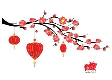 Sakura çiçek arka plan. izole kiraz çiçeği beyaz arka plan