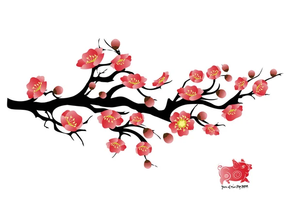 Sakura Çiçek Arka Plan Izole Kiraz Çiçeği Beyaz Arka Plan — Stok Vektör