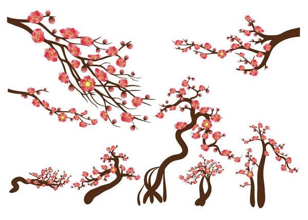 桜の花の背景 分離された桜ホワイト バック グラウンド — ストックベクタ