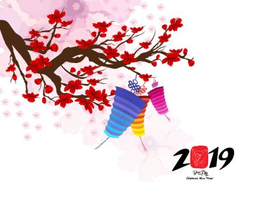 Fener ve kiraz çiçeği ile Çin yeni yılı 2019. Domuz yılı