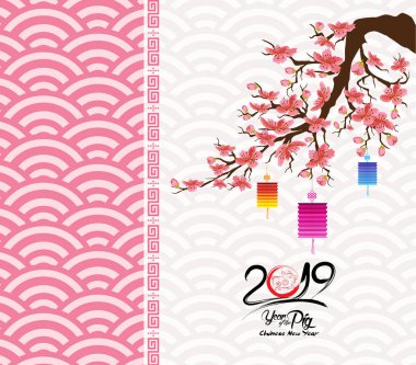 Çin yeni yılı 2019 çiçeği. Domuz yılı