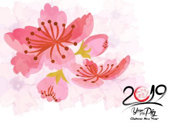 Güzel kiraz çiçeği arka plan tasarımı. Domuz yılı