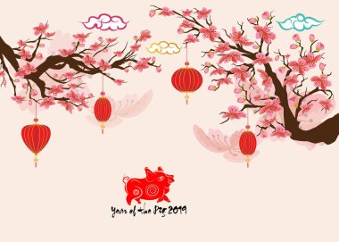 Güzel kiraz çiçeği arka plan tasarımı. Domuz yılı