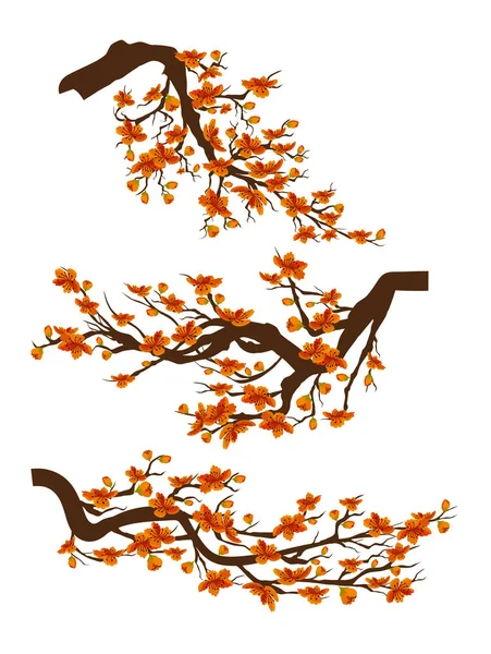 Çiçek dalları dekorasyon, beyaz arka plan bahar çiçeği sakura izole. Çin yeni yılı 