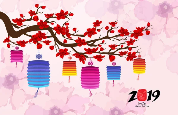 Fener ile Çin yeni yılı 2019. Kiraz çiçeği arka plan