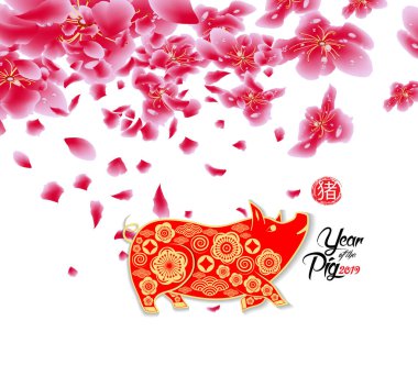 Sakura çiçek arka plan. İzole kiraz çiçeği beyaz arka plan. Çin yeni yılı (hiyeroglif domuz)