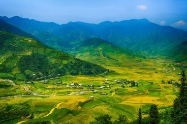 Pirinç tarlaları üzerinde Mu Cang Chai, Yenbai, Vietnam Teras. Pirinç tarlalarının hasat kuzeybatı Vietnam, hazır olun. Vietnam manzaralar.