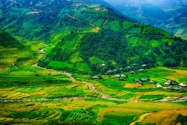 稻田上的梯田的木仓柴 Yenbai 稻田准备收获在西北的越南 越南风景 — 图库照片