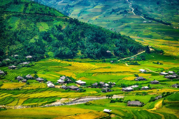 Risfälten Terrasserade Cang Chai Yenbai Vietnam Risfälten Förbereda Skörden Nordvästra — Stockfoto