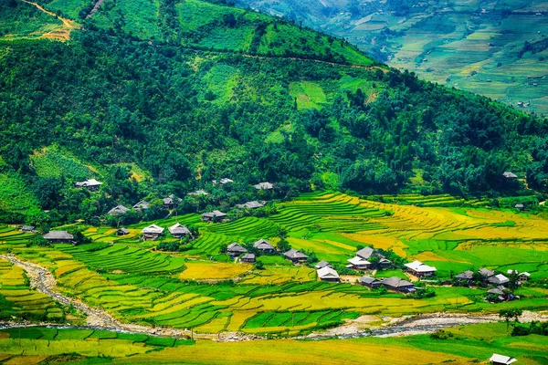 Risfälten Terrasserade Cang Chai Yenbai Vietnam Risfälten Förbereda Skörden Nordvästra — Stockfoto
