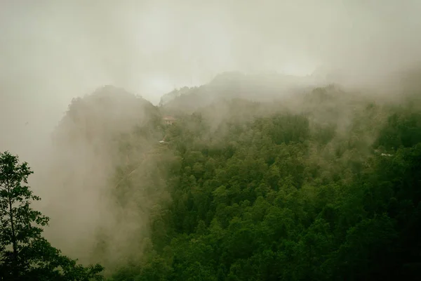 Terraços Arroz Temporada Colheita Muong Hoa Valley Sappa Vietnã Norte — Fotografia de Stock