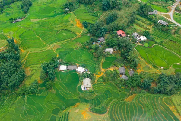 Terrasserade Risfält Skördesäsongen Muong Hoa Valley Sappa Norra Vietnam — Stockfoto