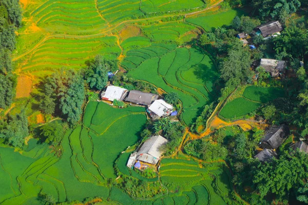 Terrasserade Risfält Skördesäsongen Muong Hoa Valley Sappa Norra Vietnam — Stockfoto